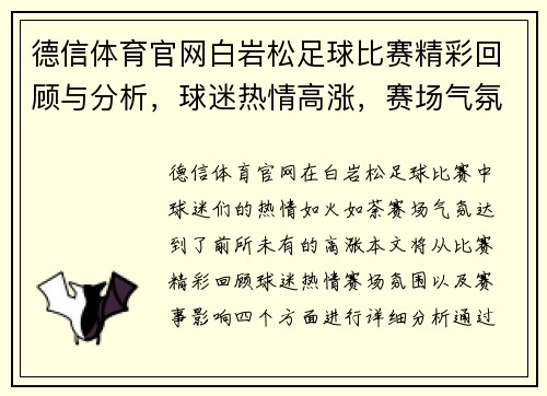 德信体育官网白岩松足球比赛精彩回顾与分析，球迷热情高涨，赛场气氛火爆